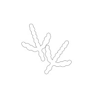 turkey tracks block 001